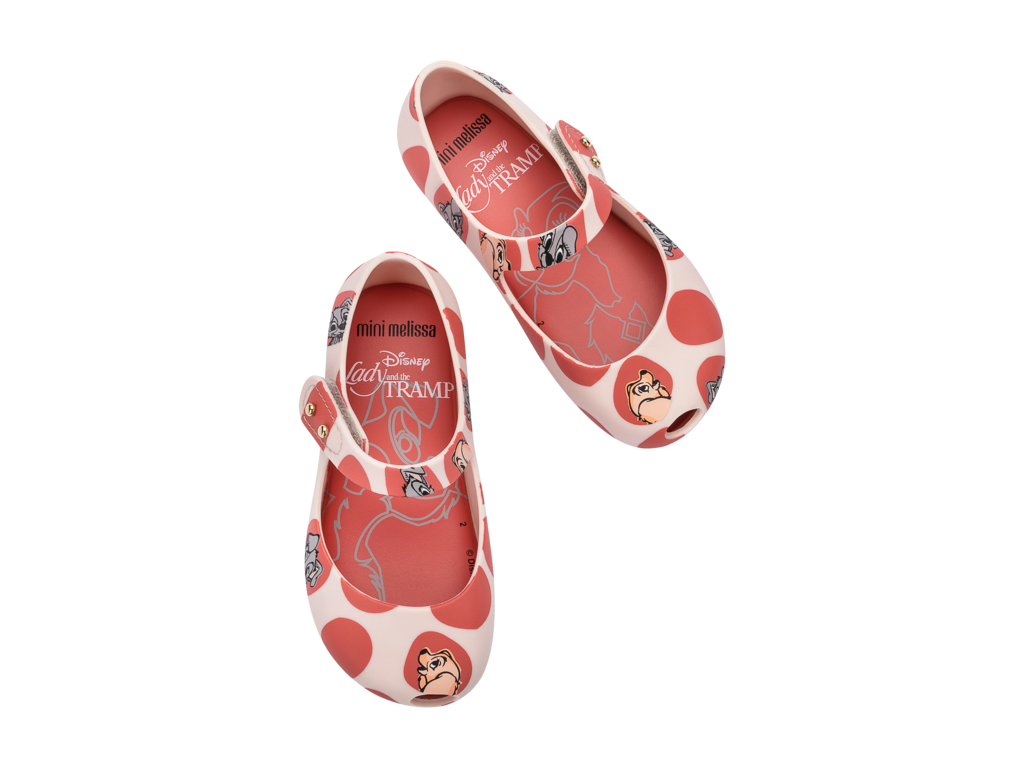 Mini melissa 2025 dog shoes